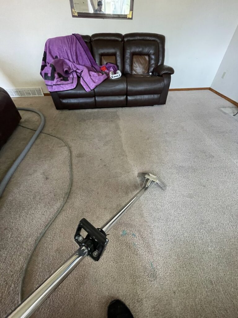 A clear before and after line showing effective carpet cleaning by Tailor Maid Carpet Cleaning in Colorado Springs, CO.