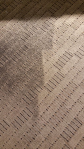 A clean strip of patterned carpet next to a dirty section, showcasing the effectiveness of Lund's Carpet Cleaning in Spokane, WA.