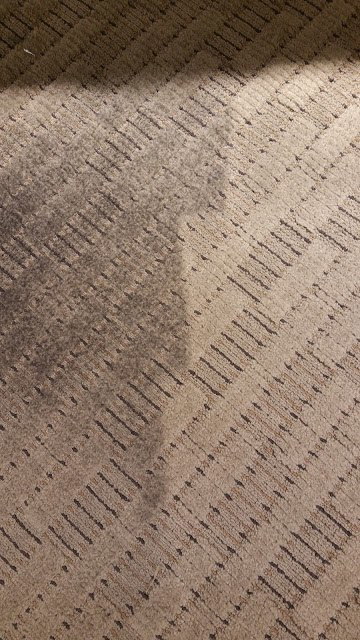 A clean strip of patterned carpet next to a dirty section, showcasing the effectiveness of Lund's Carpet Cleaning in Spokane, WA.