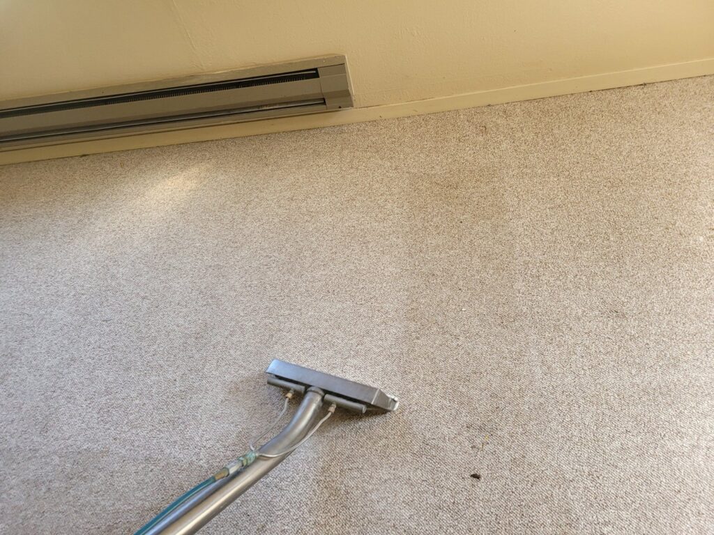 A carpet cleaning tool demonstrating the before and after of a cleaning job by Mr. Suds Carpet Cleaning LLC in Coeur d'Alene, ID.