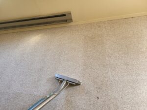 A carpet cleaning tool demonstrating the before and after of a cleaning job by Mr. Suds Carpet Cleaning LLC in Coeur d'Alene, ID.