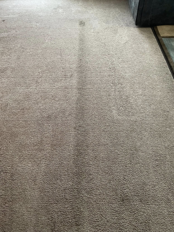 A carpet showing a clean strip next to a dirty area, illustrating carpet cleaning by Pro Care Cleaning in Lincoln, NE.