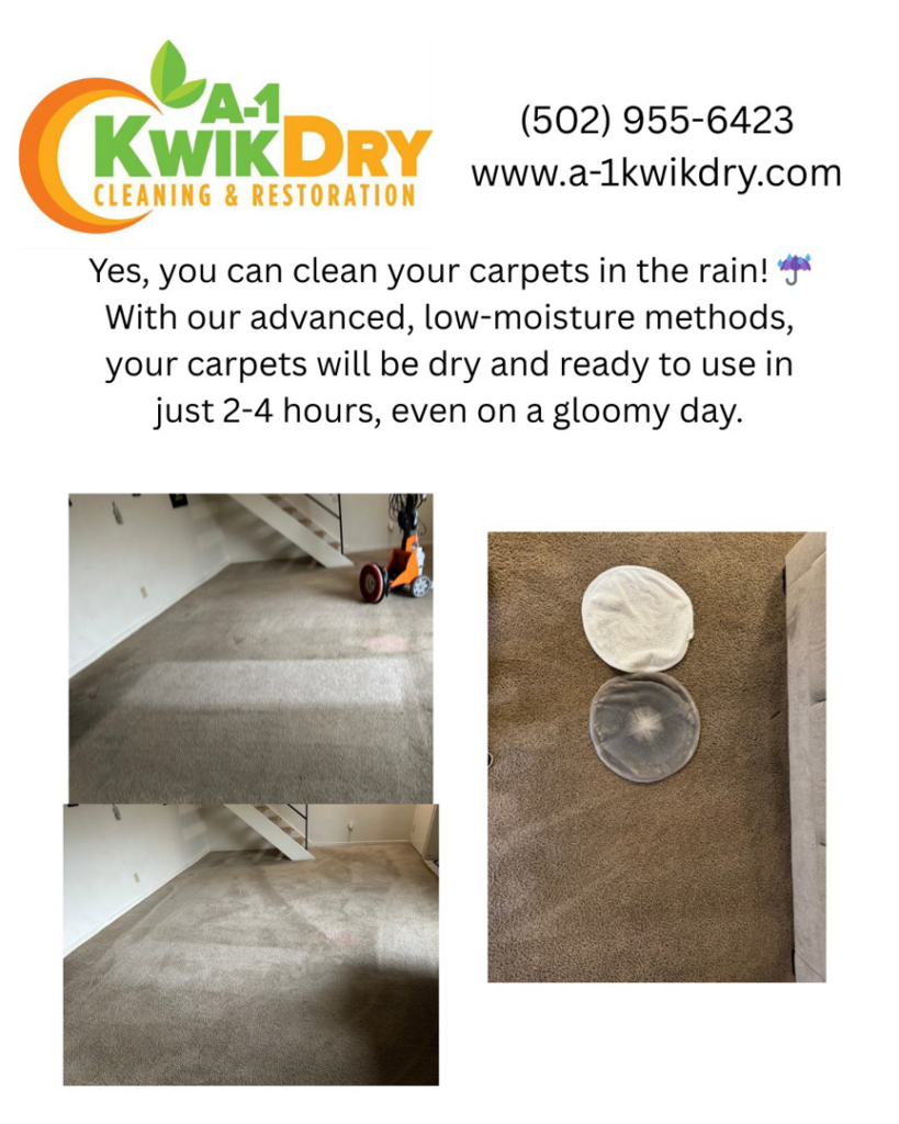 A carpet showing clear before and after cleaning results by A-1 Kwik Dry Carpet Cleaning & Air Duct Cleaning in Louisville, KY.