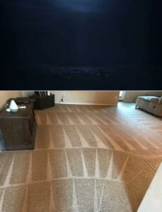 Before and after results of a carpet cleaning job, showing fresh cleaning lines by Stain Punishers Carpet Cleaning in Plano, TX.