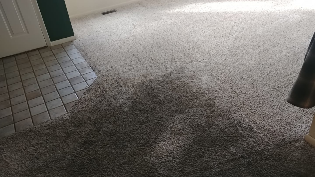 A carpet showing a clear before and after cleaning difference by Rocky Mountain Rug Rescue in Laramie, WY