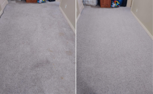 Before and after results of a thorough carpet cleaning service in a room by AAA Carpet Cleaning and Restoration in Springfield, MO