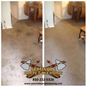 Before and after comparison of a residential carpet cleaning service by Seminole Carpet Cleaning in Tallahassee, FL