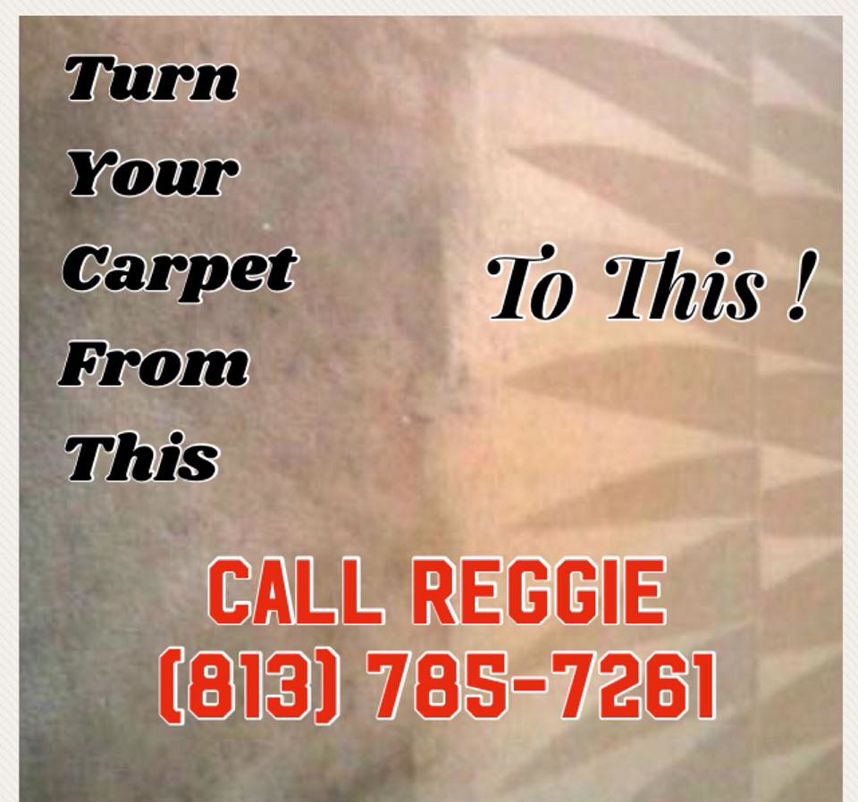 Before and after comparison of a professionally cleaned carpet by Special Solution Cleaning in Tampa, FL