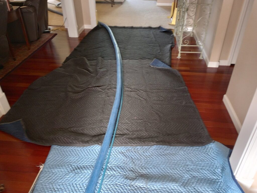 A carpet showing a clear before and after difference from professional cleaning by St.Louis Carpet Clinic in St. Charles, MO.