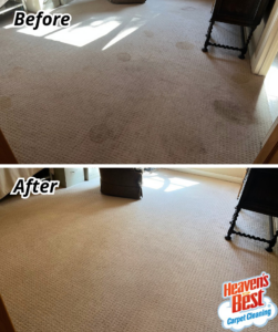 Before and after comparison of a carpet with visible stains, now clean, by Heaven's Best Carpet Cleaning Hilton Head Island SC.
