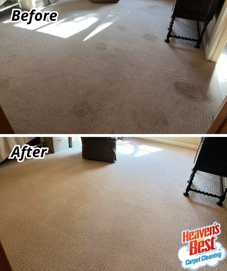 Before and after comparison of a carpet with visible stains, now clean, by Heaven's Best Carpet Cleaning Hilton Head Island SC.