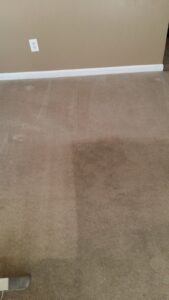 A carpet showing a clean strip next to a dirty section, demonstrating the effectiveness of All Out Carpet Cleaning in Kailua Kona, HI.