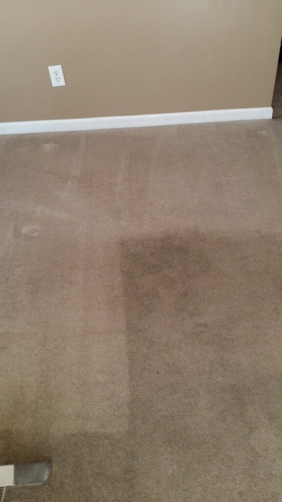 A carpet showing a clean strip next to a dirty section, demonstrating the effectiveness of All Out Carpet Cleaning in Kailua Kona, HI.