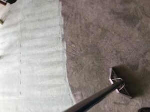 A carpet cleaning tool cleaning a dirty carpet, revealing a clean strip by Get Green Carpet Cleaning CT in West Hartford, CT.