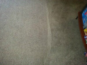 A carpet showing a clean strip next to a dirty area, demonstrating Heaven's Best Carpet Cleaning in Fargo, ND.
