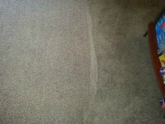 A carpet showing a clean strip next to a dirty area, demonstrating Heaven's Best Carpet Cleaning in Fargo, ND.