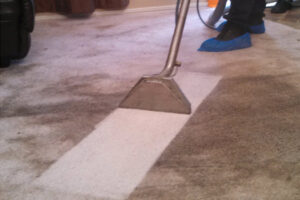 A carpet cleaning wand creating a clean strip on a very dirty carpet, demonstrating effective cleaning by Lincoln Carpet Cleaning Pros in Lincoln, NE.