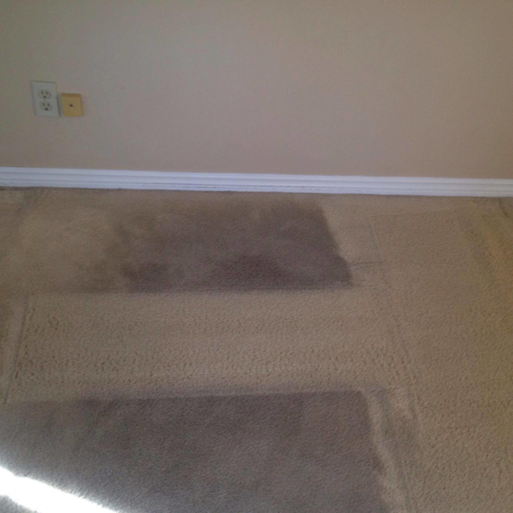 Carpet showing distinct clean and dirty sections, demonstrating a carpet cleaning job by Arthur's Always Clean in Rochester, NH.