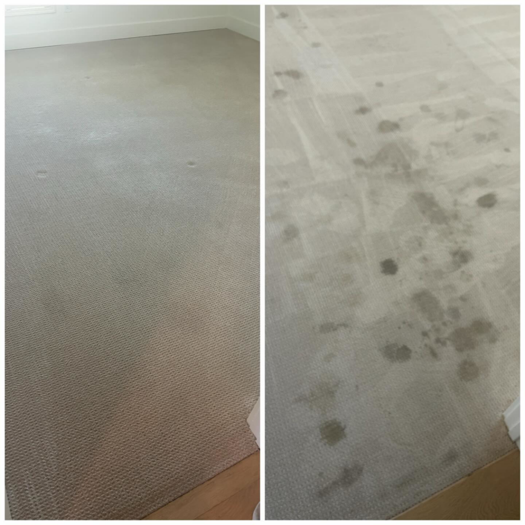 Before and after carpet cleaning by Sunrise Chem-Dry in Glendale, AZ, showing clean carpet on left and heavily stained carpet on right.