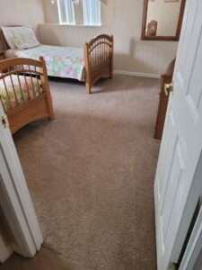 Before and after carpet cleaning, showing clean strips on a dirty carpet by Technique Carpet & Tile Cleaning, Inc. in Winter Springs, FL.