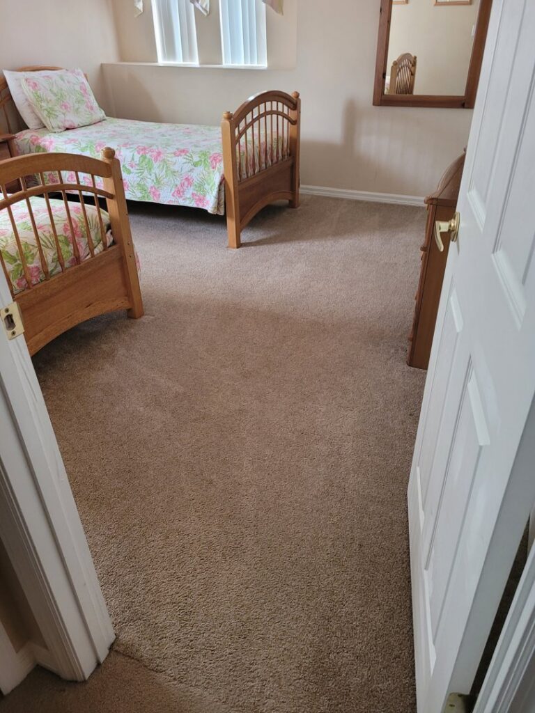 Before and after carpet cleaning, showing clean strips on a dirty carpet by Technique Carpet & Tile Cleaning, Inc. in Winter Springs, FL.