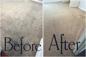 Before and after comparison of a professionally cleaned carpet by The Gold Standard Professional Cleaning Services, LLC in Murfreesboro, TN