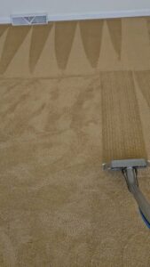 A carpet cleaning tool showing a clear before and after section on a brown carpet by Clean Technologies, LLC in Middletown, PA.