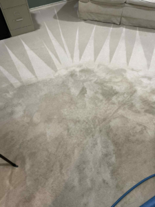 A carpet showing before and after cleaning lines by Two Sheas Restoration in Tulsa, OK.