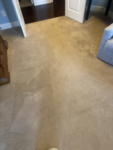 A carpeted floor showing a clear before and after of professional cleaning by USA Clean Master in Baltimore, MD