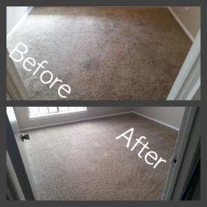 Before and after comparison of a professionally cleaned carpet by Valdes Contract Services in San Antonio, TX