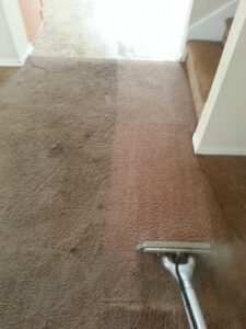 A carpet cleaning wand showing a clear before and after difference on a dirty carpet, demonstrating services by Steam Solutions Carpet Cleaning in San Antonio, TX.