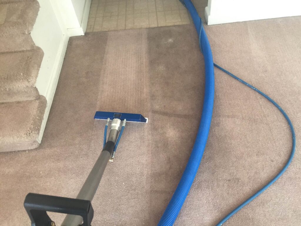 A carpet cleaning job showing a clear before and after section, highlighting the results from 303 Carpet Cleaning in Lakewood, CO