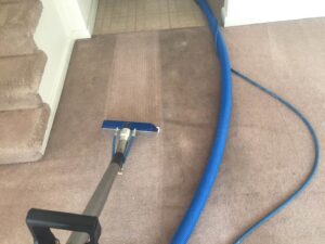 A carpet cleaning job showing a clear before and after section, highlighting the results from 303 Carpet Cleaning in Lakewood, CO
