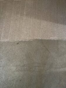 A carpet showing a clear distinction between a dirty section and a freshly cleaned section by Carpet Chemistry in Gulfport, MS.