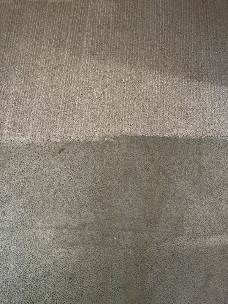 A carpet showing a clear distinction between a dirty section and a freshly cleaned section by Carpet Chemistry in Gulfport, MS.