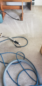 Carpet cleaning equipment and hoses laid out on a carpet during a service by Vibro-Steam of Utah in Ogden, UT.