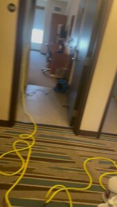 Carpet cleaning equipment, including a yellow hose and a blue drying fan, set up in a hallway by Good Guys Carpet Cleaning in Katy, TX.