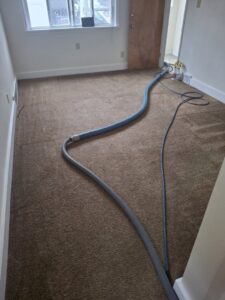 Professional carpet cleaning equipment and hoses laid out on a carpeted floor by Sears Carpet Cleaning in Cleveland, OH.