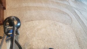 Carpet cleaning equipment in use during a service by American Dream Carpet Cleaning in Cedar Rapids, IA.