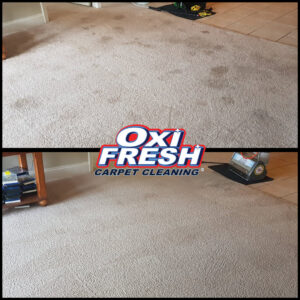 Carpet cleaning equipment visible after a successful cleaning job by Oxi Fresh Carpet Cleaning in Frederick, MD