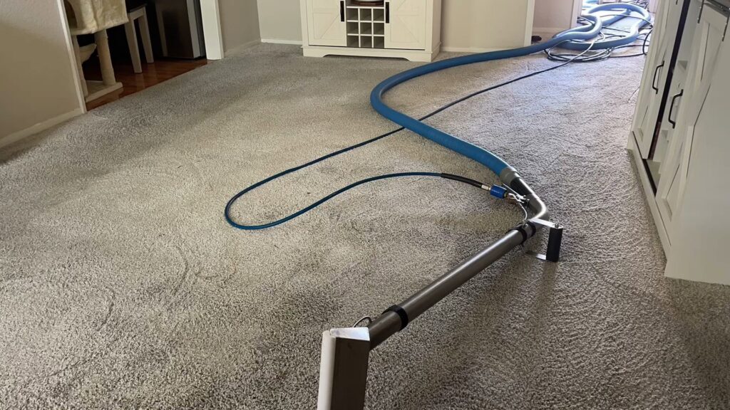 Professional carpet cleaning equipment and hoses in use during a job by Pro Team Carpet Cleaning Sacramento, CA.