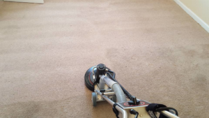Close-up of carpet cleaning equipment in use on a beige carpet by Todd White Carpet Care LLC in Tallahassee, FL.