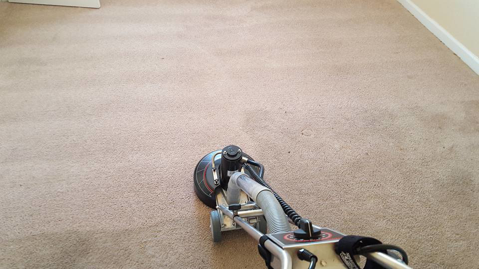 Close-up of carpet cleaning equipment in use on a beige carpet by Todd White Carpet Care LLC in Tallahassee, FL.