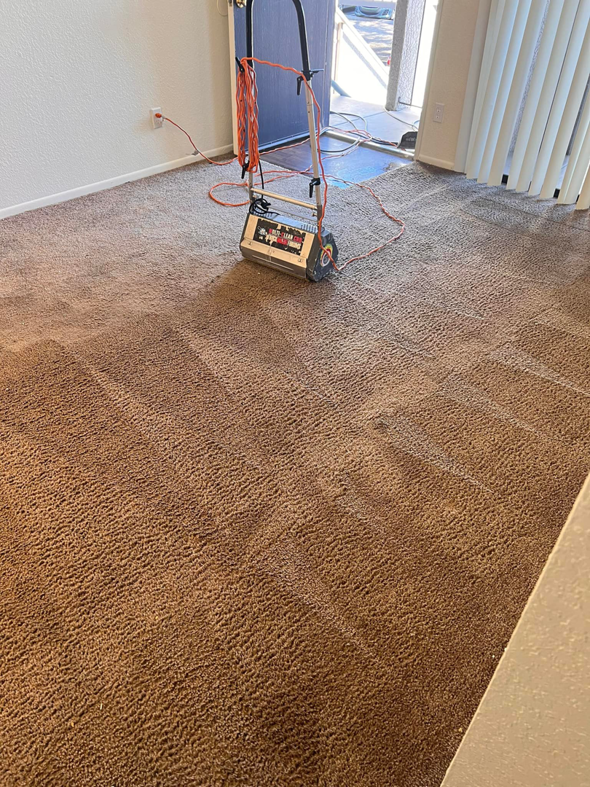 Carpet cleaning equipment on a brown carpet with cleaning patterns at a job site by Wilsons Complete Floor Care in Tucson, AZ