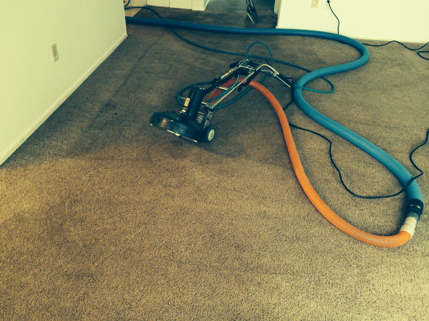 Professional carpet cleaning equipment with hoses laid out on a brown carpet at Saras Clean Carpet in Portland, OR.