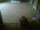 Carpet cleaning equipment on a residential floor by Celebrity Carpet and Upholstery Cleaning in Overland Park, KS.