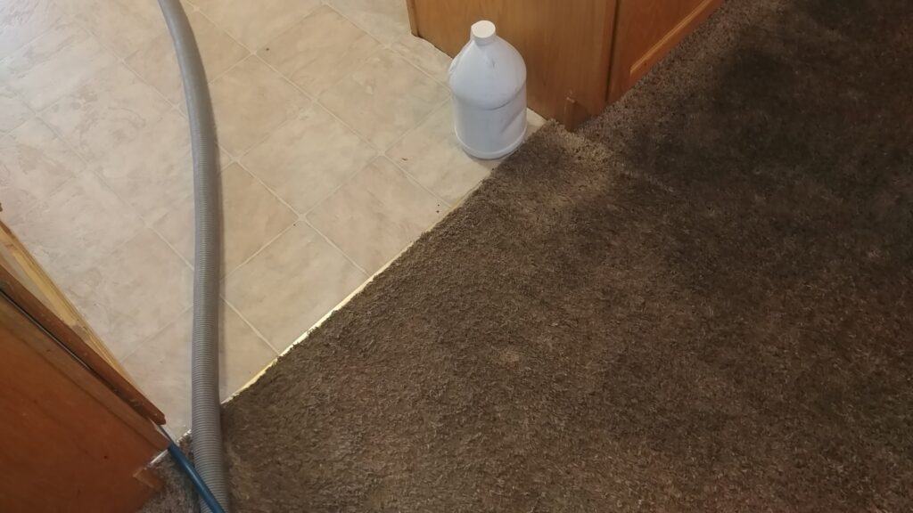 Carpet cleaning equipment and solution jug set up next to a dirty carpet by Rocky Mountain Rug Rescue in Laramie, WY