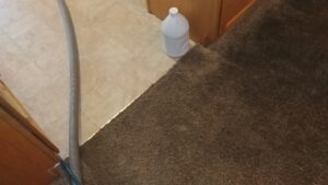 Carpet cleaning equipment and solution jug set up next to a dirty carpet by Rocky Mountain Rug Rescue in Laramie, WY