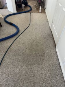 Carpet cleaning equipment and hoses set up for a job by Word of Mouth Cleaning Services in Houston, TX.