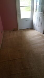 Professional carpet cleaning results with distinct lines in a hallway by ALL Services of NC in Greensboro, NC